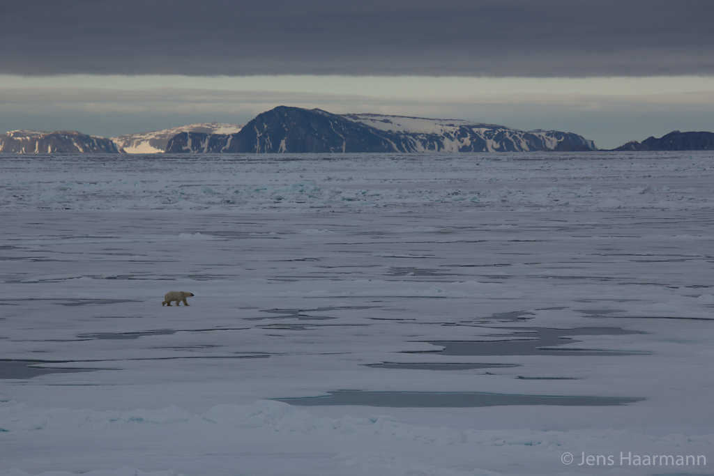 Svalbard 2015
