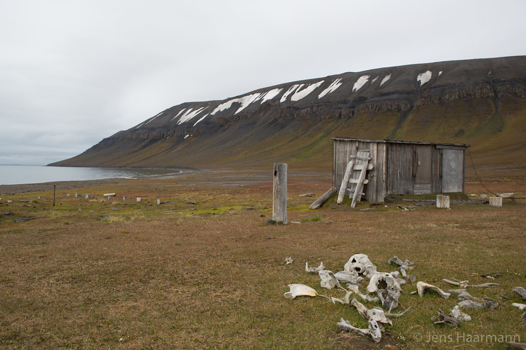 Svalbard 2015
