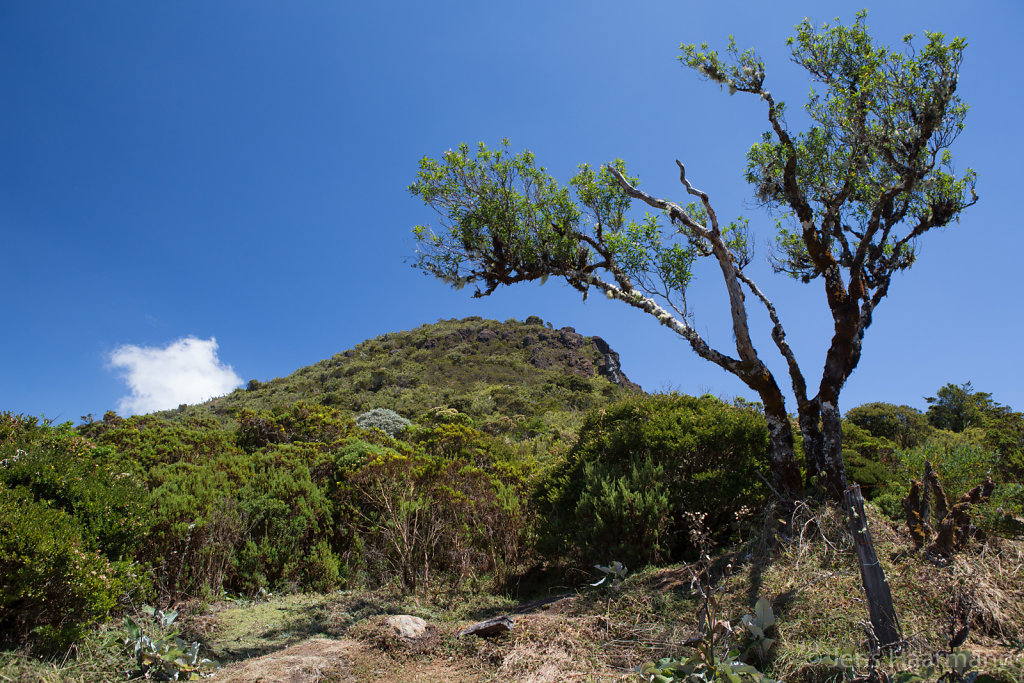 Tapantí National Park