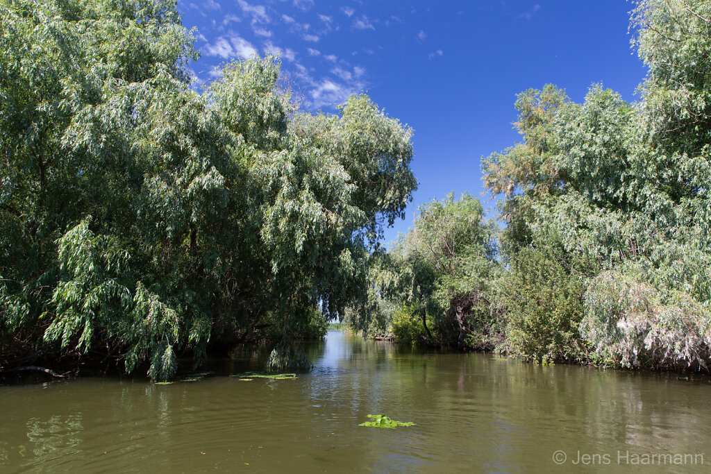 Donaudelta