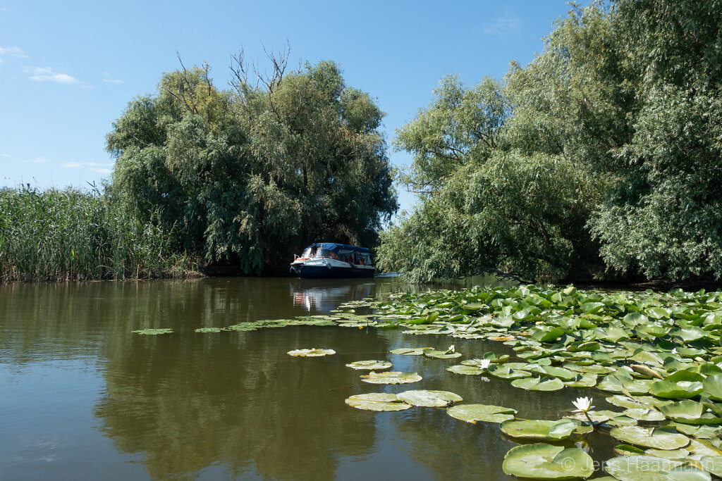 Donaudelta