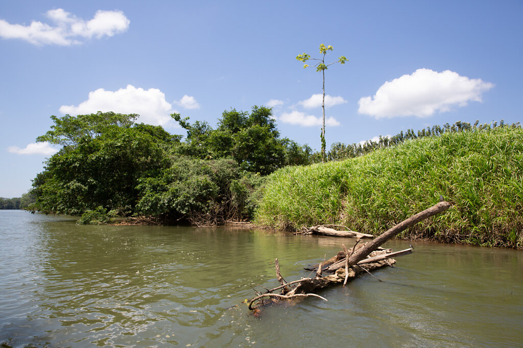 Rio San Carlos