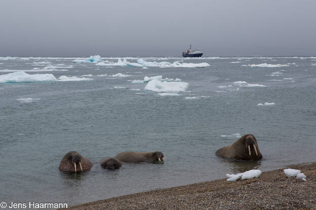 Svalbard 2015