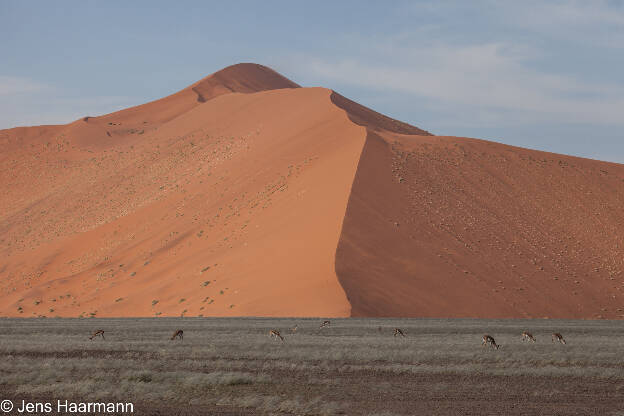 Sossusvlei