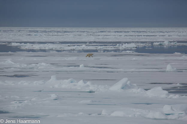 Svalbard 2015