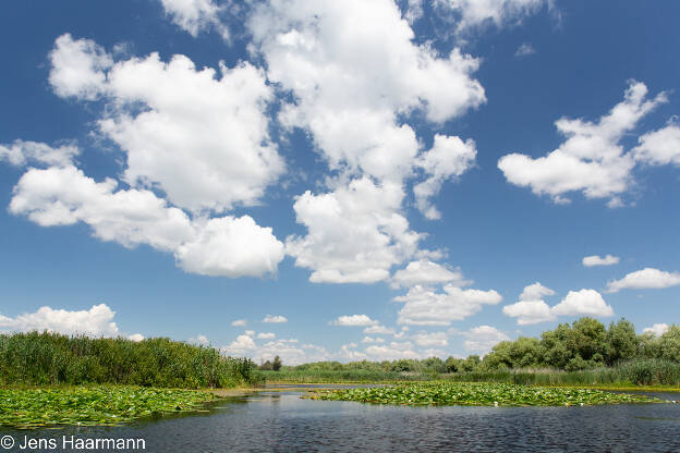 Donaudelta