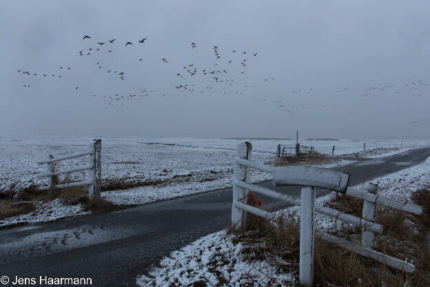 Hooge im Schnee