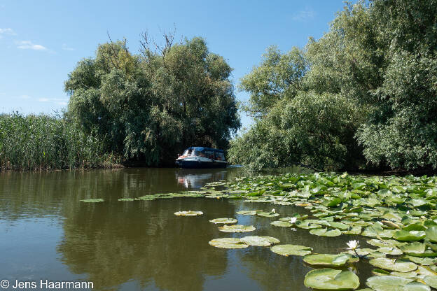 Donaudelta