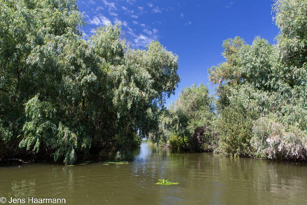 Donaudelta