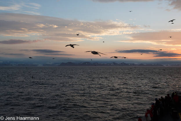 Im Storfjorden, Blick Richtung Süd-Spitzbergen