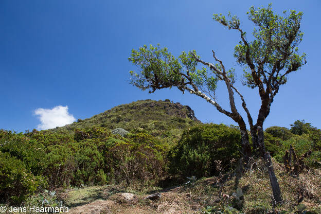 Tapantí National Park