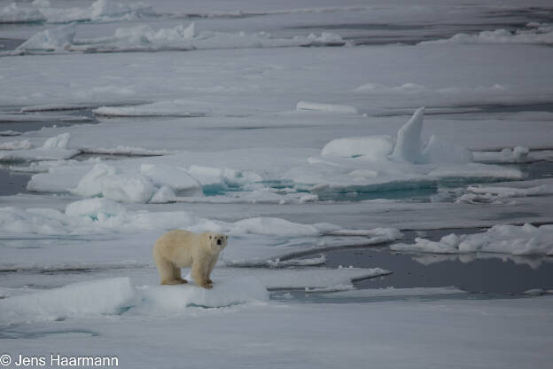 Svalbard 2015