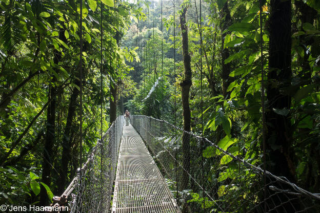 Arenal Hanging Bridges Park