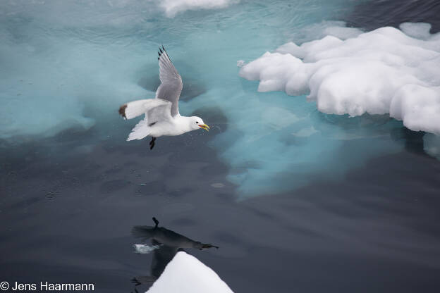 Svalbard 2015