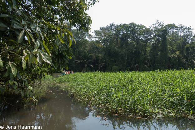 Nationalpark Tortuguero