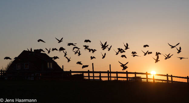 Sonnenaufgang über Mitteltritt