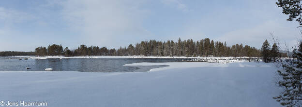 Winterlandschaft