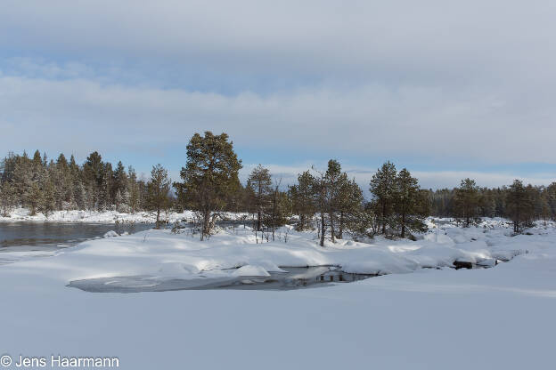 Winterlandschaft