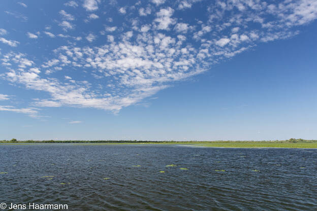 Lacul Rădăcinos