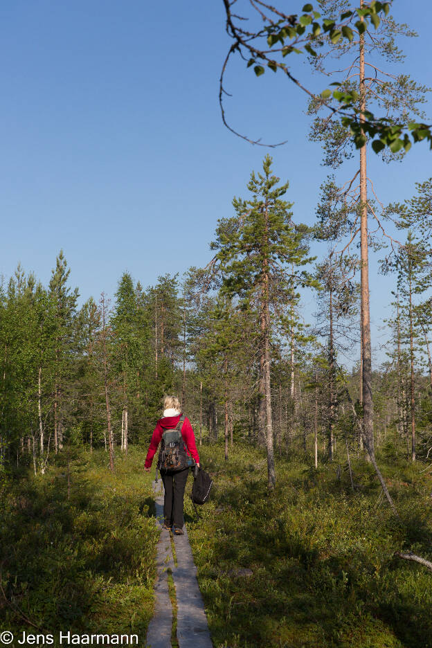 Unterwegs im Bärenland