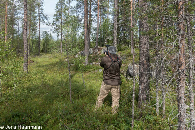 Auf der Jagd ...