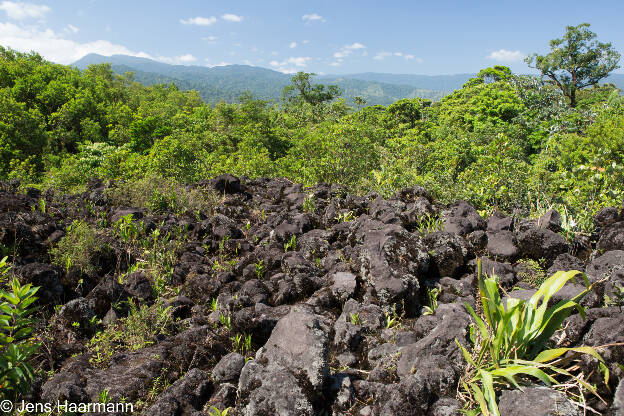 Lavafeld, Vulkan Arenal NP