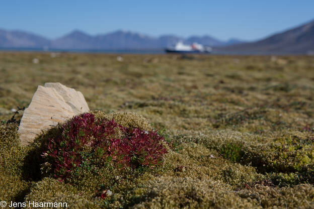 Svalbard 2015