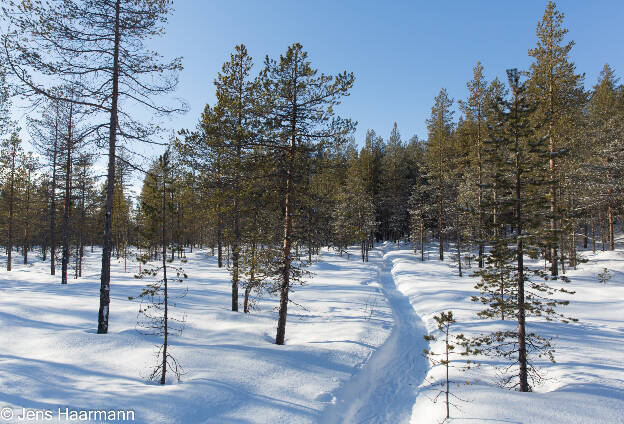 Winterlandschaft