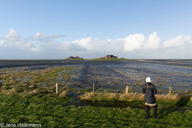 Land unter