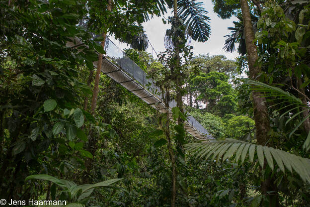 Arenal Hanging Bridges Park