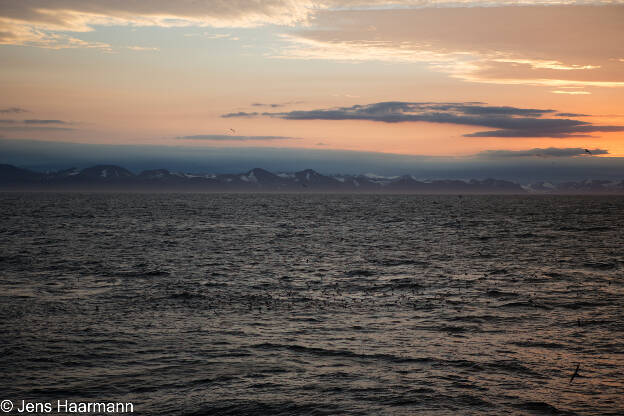 Abenstimmung im Storfjorden