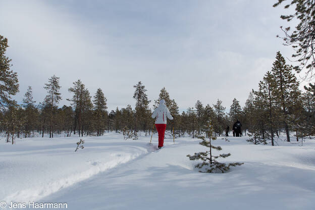 Schneeschuhwanderung