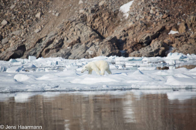 Svalbard 2015